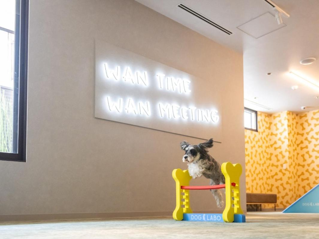 Anddoggy Nijo Hotel Kyōto