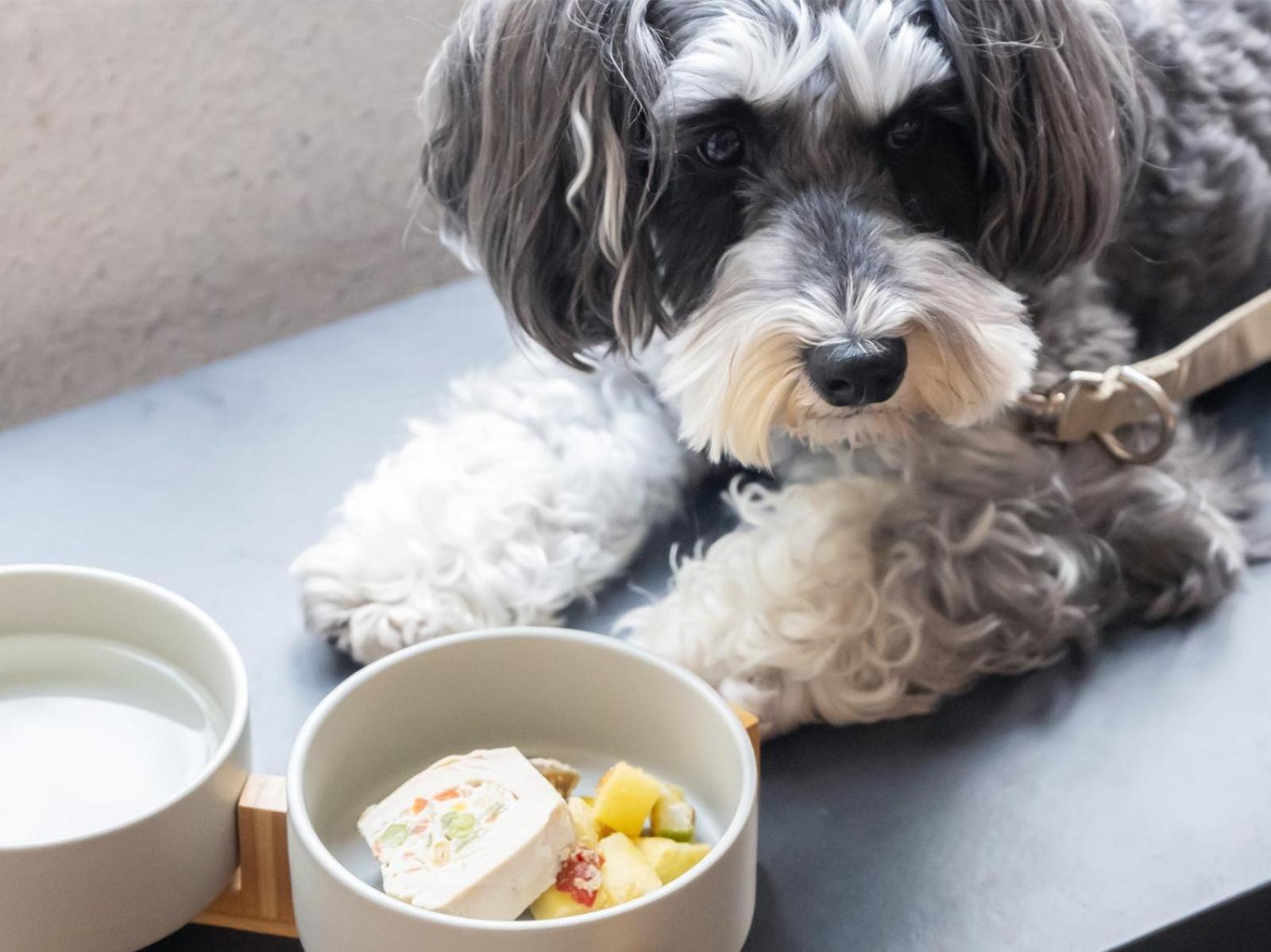 Anddoggy Nijo 3* Kyōto